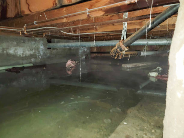 Best Crawl Space Water Damage Solutions in Indianola, WA